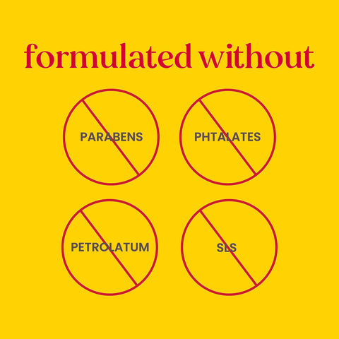 Burt's Bees Moisturising Lip Balm, Salted Caramel Flavour, With Beeswax and Vitamin E, Limited Edition Christmas Flavour, 4.25g