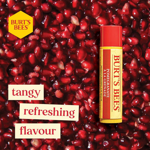 Burt's Bees Moisturising Lip Balm, Salted Caramel Flavour, With Beeswax and Vitamin E, Limited Edition Christmas Flavour, 4.25g