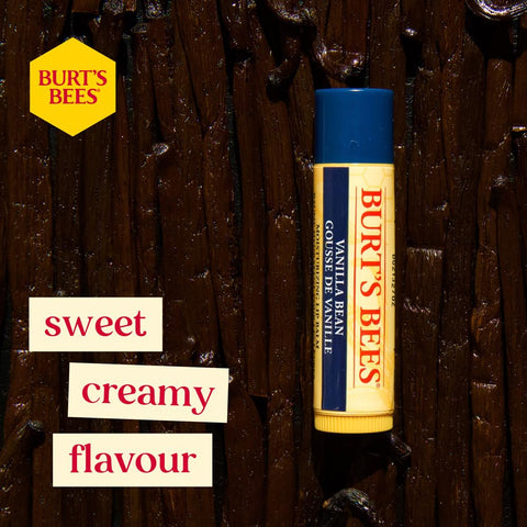 Burt's Bees Moisturising Lip Balm, Salted Caramel Flavour, With Beeswax and Vitamin E, Limited Edition Christmas Flavour, 4.25g