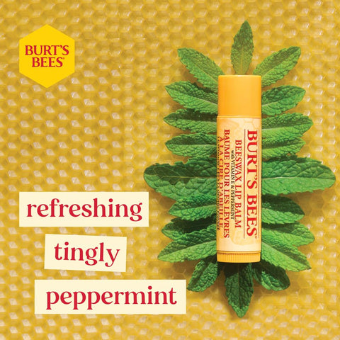 Burt's Bees Moisturising Lip Balm, Salted Caramel Flavour, With Beeswax and Vitamin E, Limited Edition Christmas Flavour, 4.25g